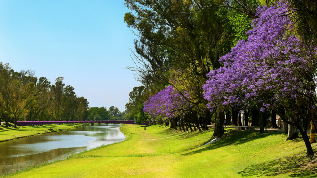 Terraplén del Arroyo Pergamino