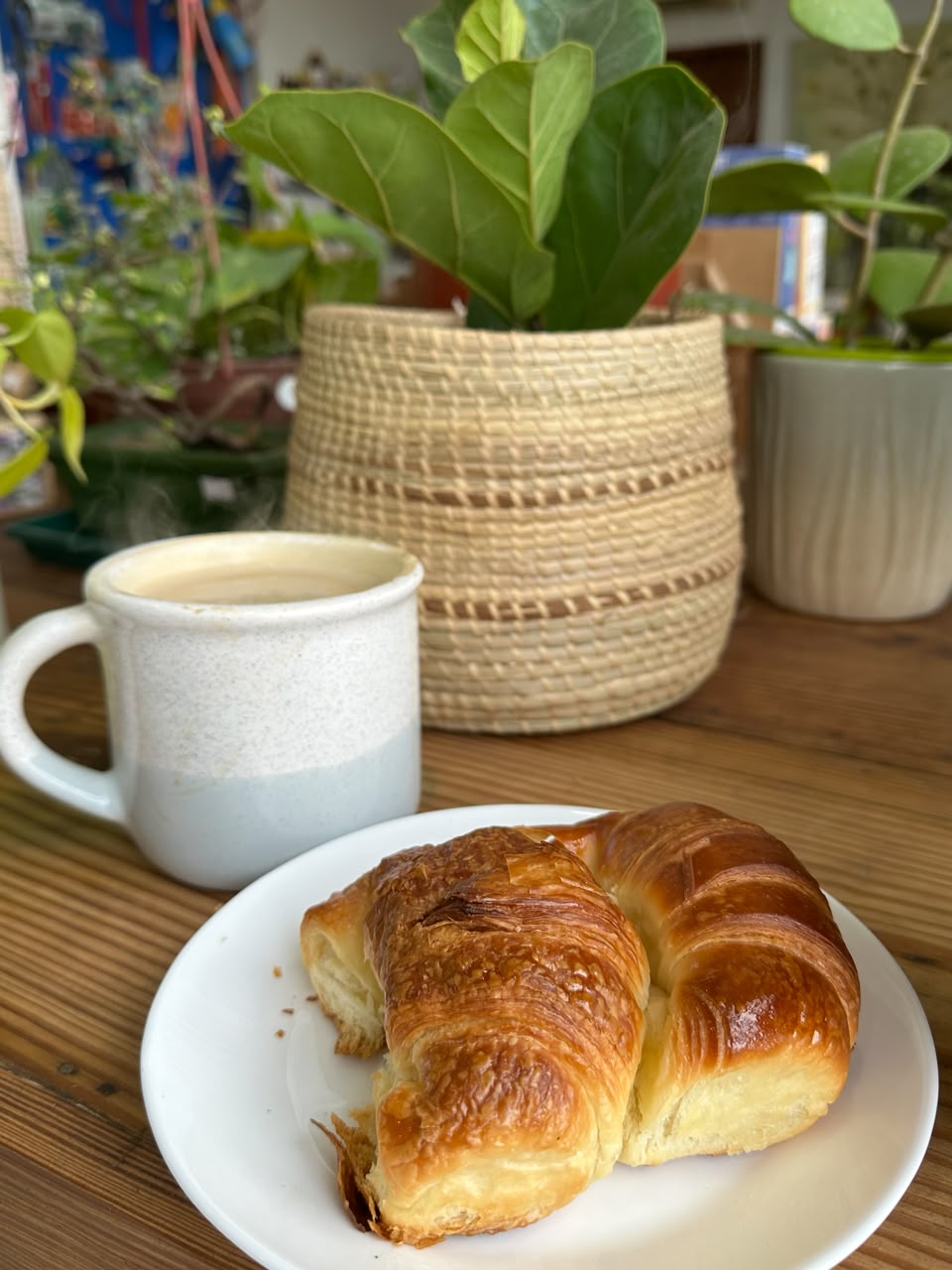 Café con medialuna sobre mesa de madera, rodeado de plantas de interior en La Romería