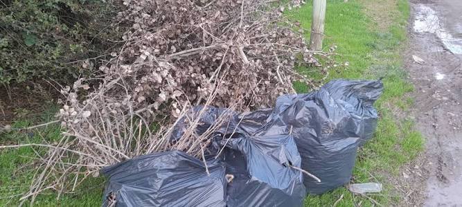 Ramas secas y bolsas negras con restos de poda dejadas al costado de la vereda en Pergamino