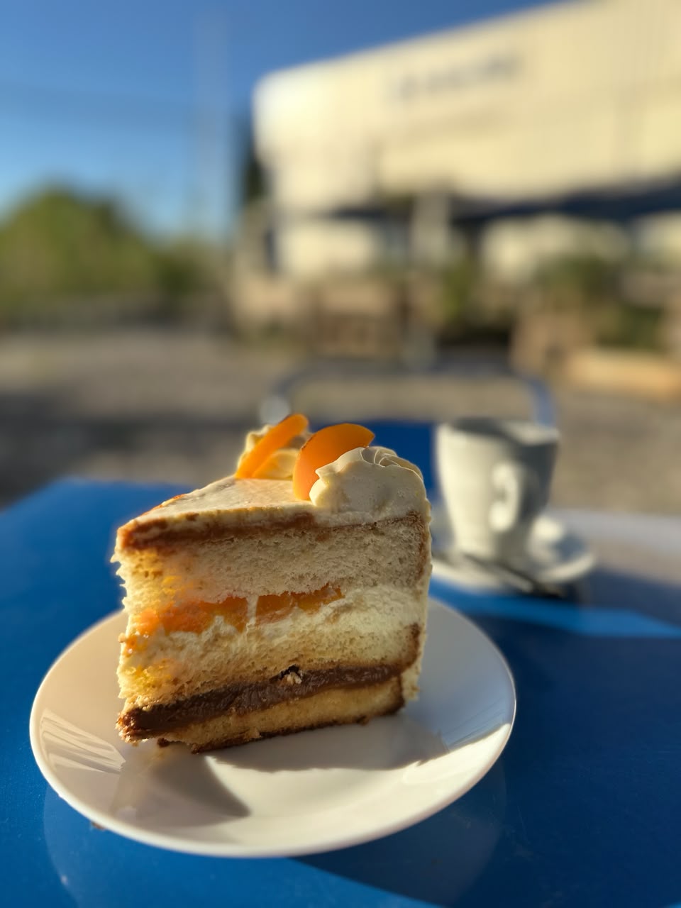 Porción de torta y café en La Romería, vivero café de Pergamino