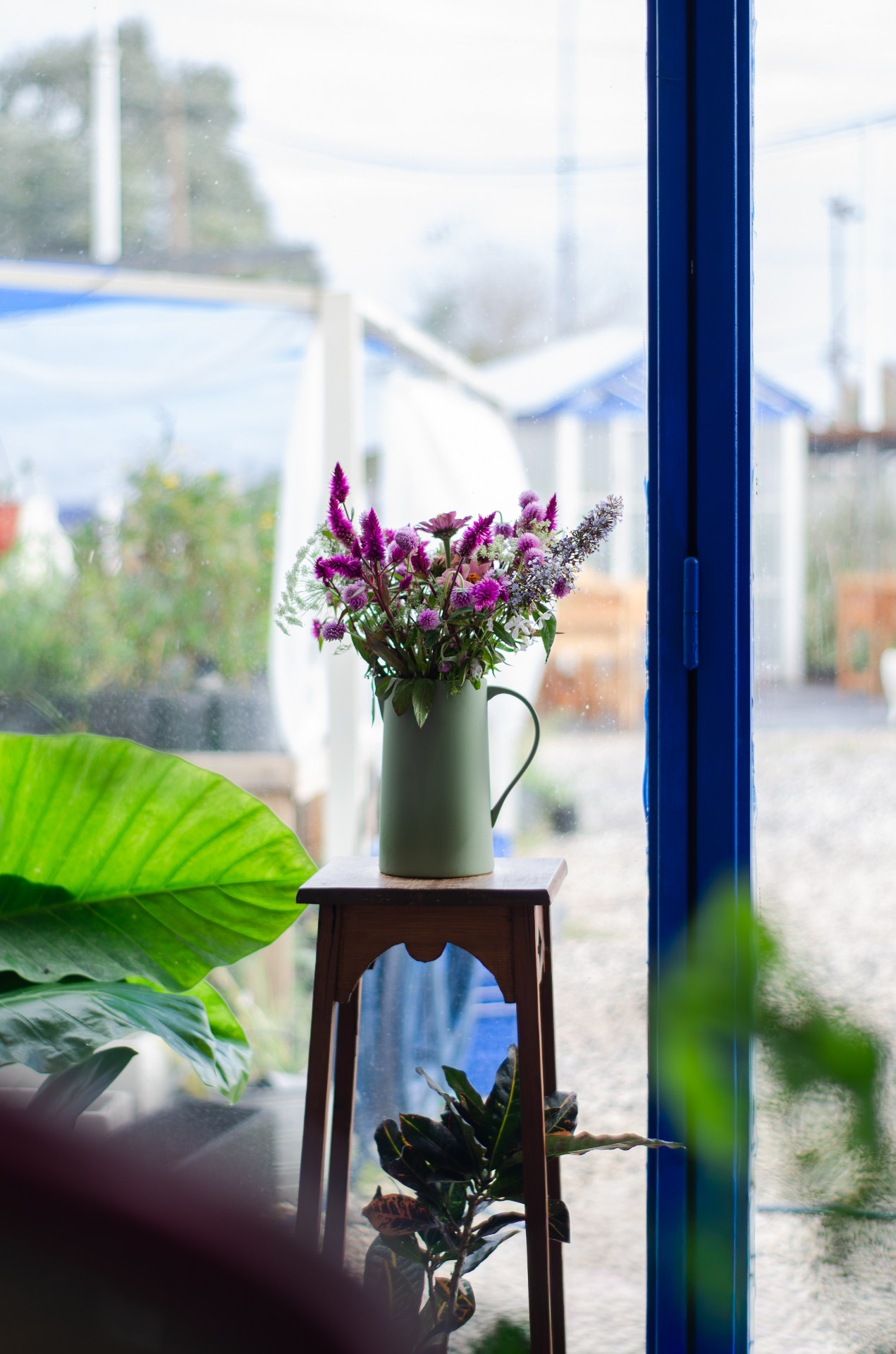 Florero con flores violetas junto a una ventana azul del vivero