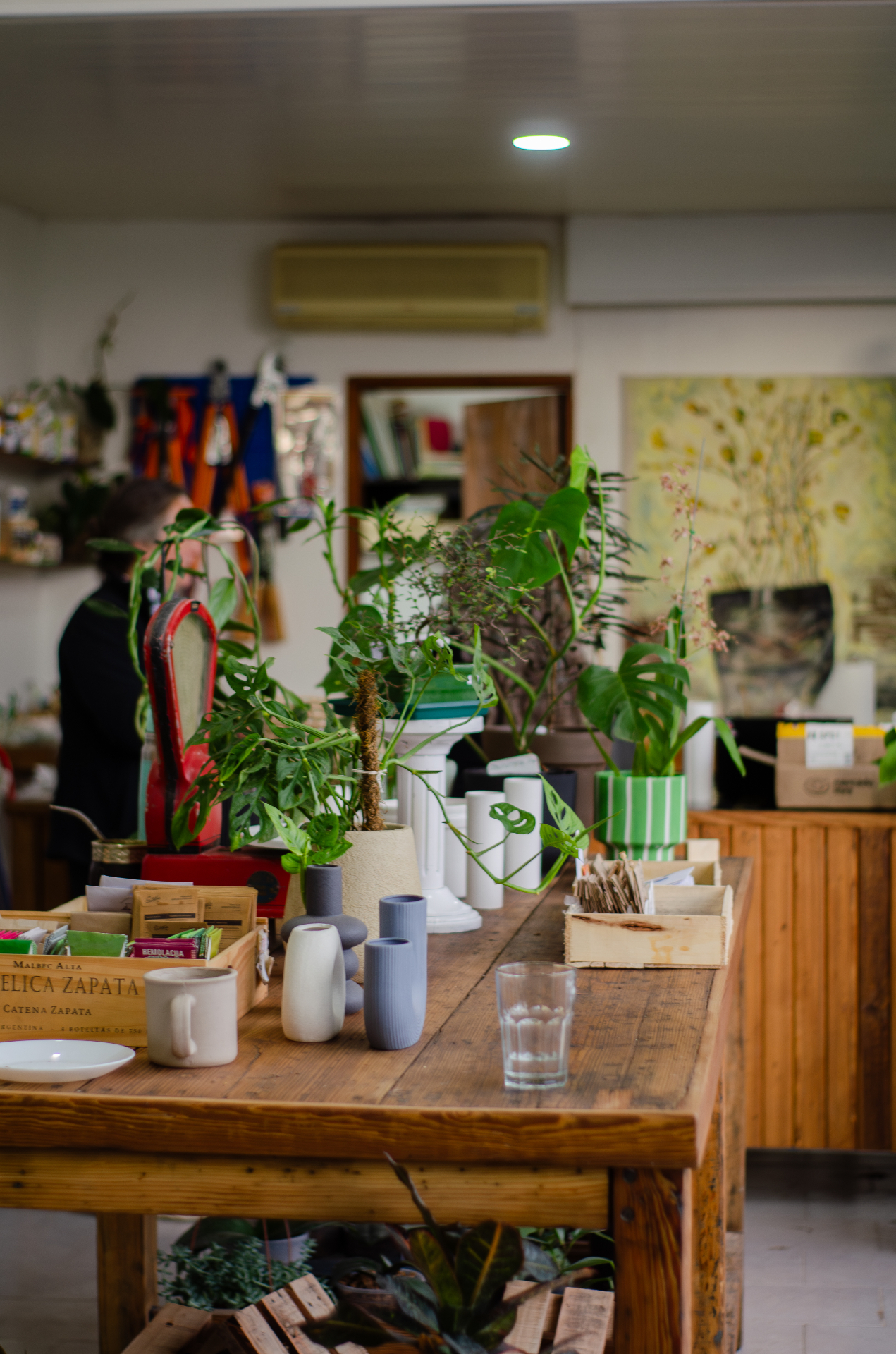 Mesa de madera con plantas, macetas y objetos del vivero café